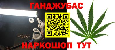 гидра Мариинск