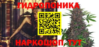 гидра Мариинск